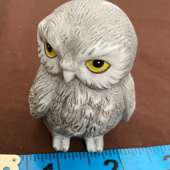 Owl in cactus home - Picture 4 of 7